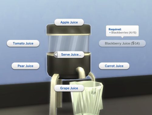 Juice Blender