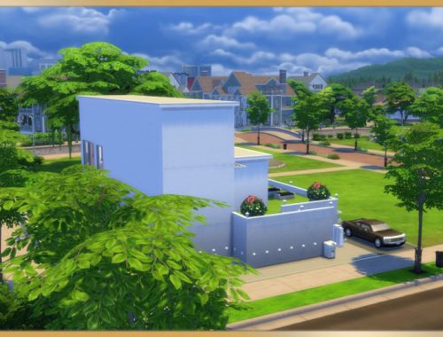 Modern Step house