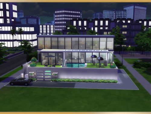 Modern Step house