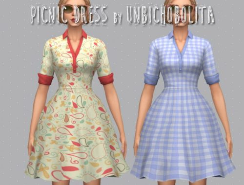 50?s Picnic dress