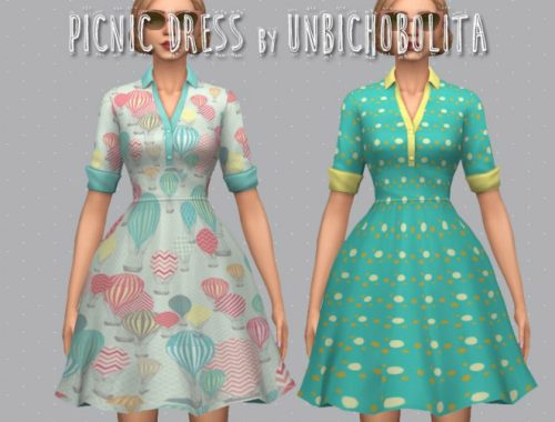 50?s Picnic dress