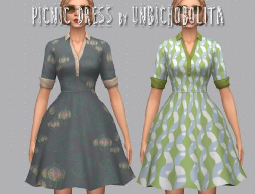 50?s Picnic dress