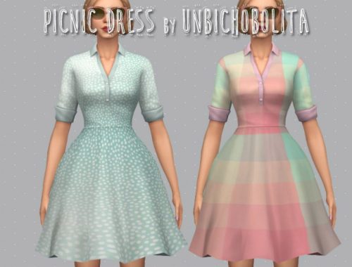 50?s Picnic dress