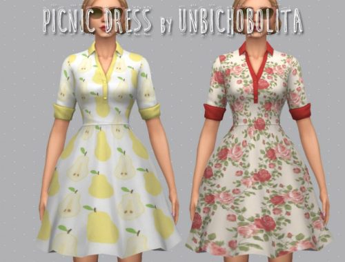 50?s Picnic dress