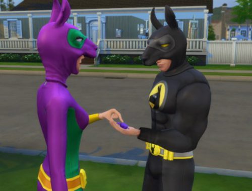 Super Llama Costume