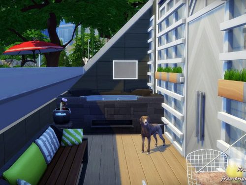 Modern Oasis house