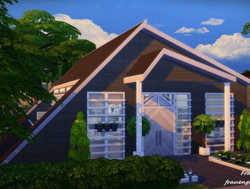 Modern Oasis house