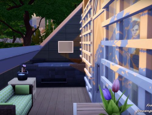 Modern Oasis house