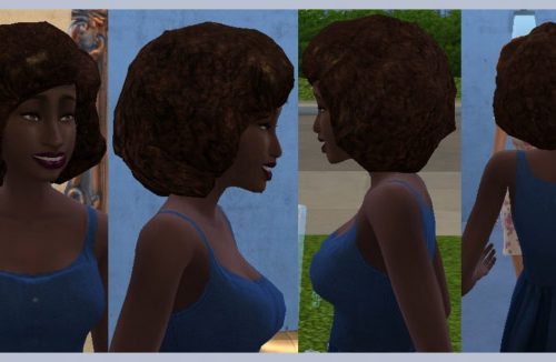 Natural Curly Afro Hair
