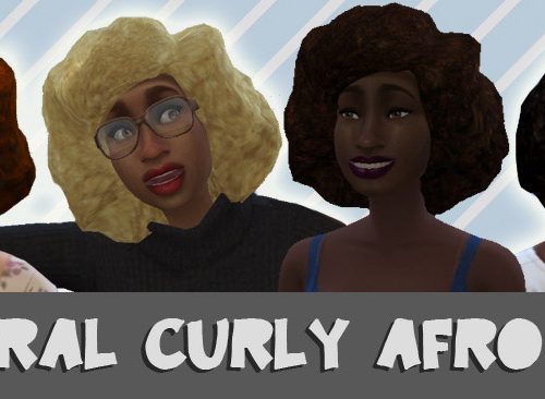 Natural Curly Afro Hair