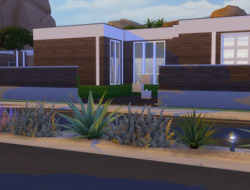 Monterra Ln modern house