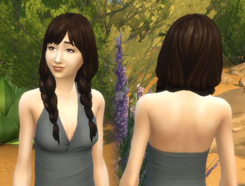 Spring Braids