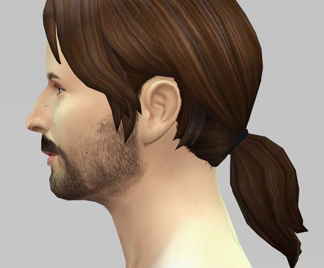 Dereks ponytail F/M hair