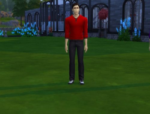 Long-sleeve Hoodie recolors