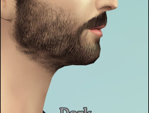 Beard N3