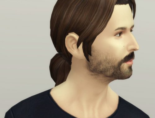 Beard N3