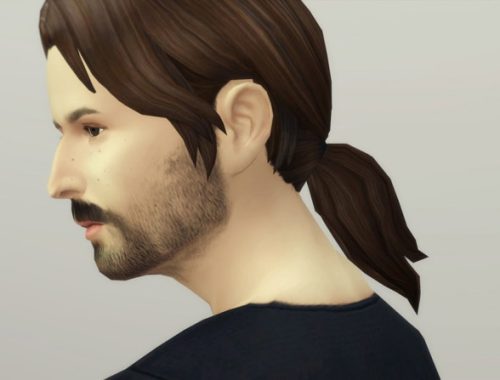 Beard N3