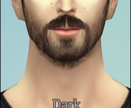 Beard N3
