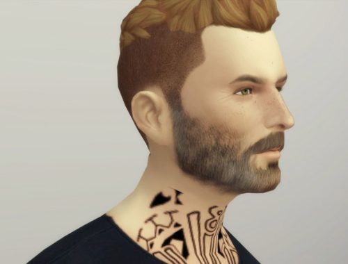 Beard N4