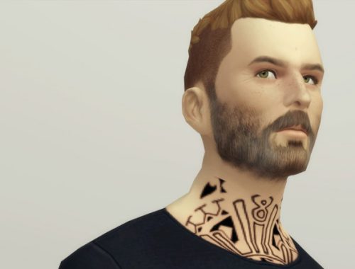 Beard N4