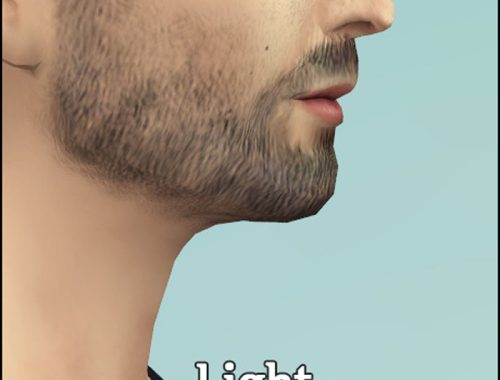 Beard N5