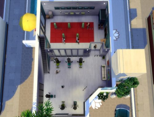 The Flash gym