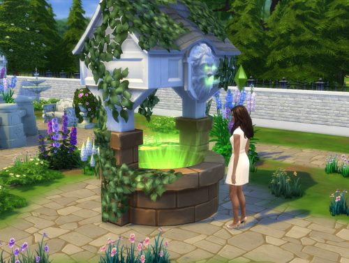 Enchanted park