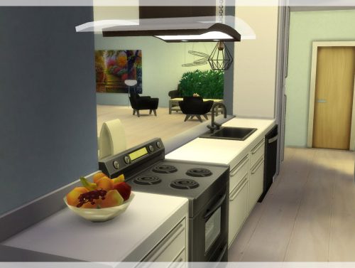 Princip house