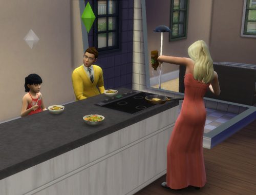 Functional Counter Top Stove
