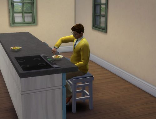 Functional Counter Top Stove