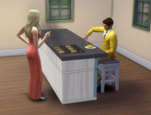 Functional Counter Top Grill with recipes