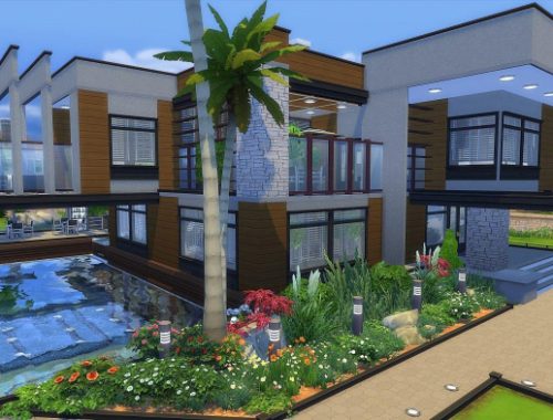 Modern Abstract NewCrest
