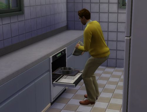 Functional built in oven