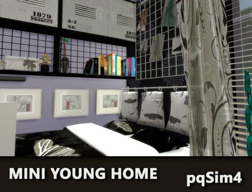 Mini Young Home