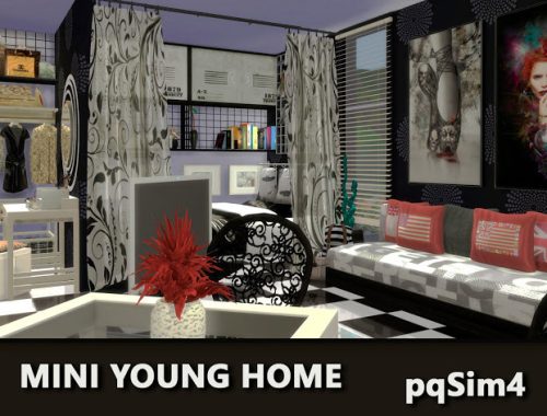 Mini Young Home