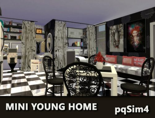 Mini Young Home