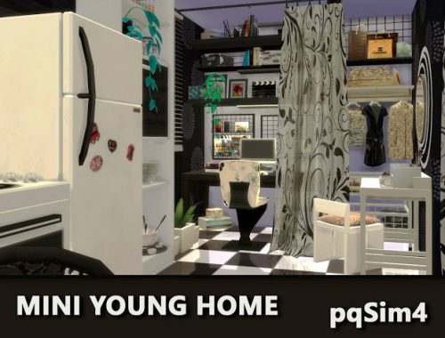 Mini Young Home