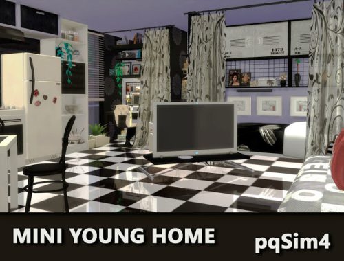 Mini Young Home