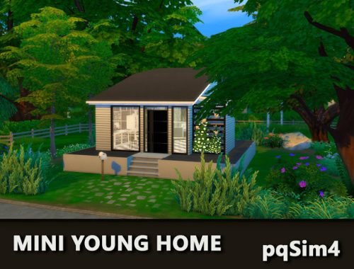 Mini Young Home