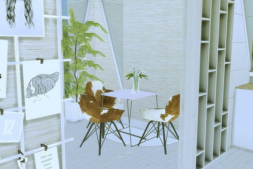 Apartment Room