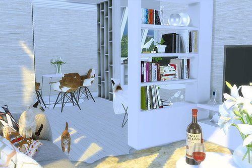Apartment Room