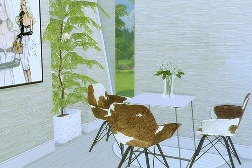 Apartment Room