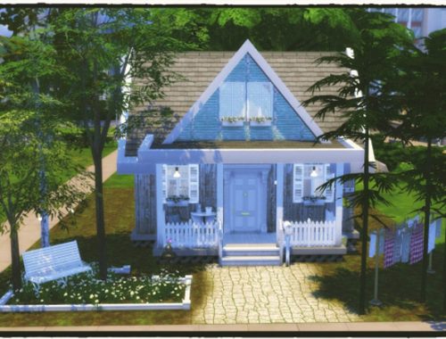 Starter House