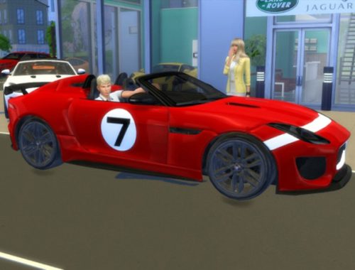Jaguar Project 7