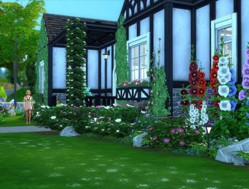 Oak Cottage