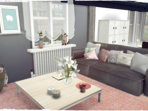 Apartment DU ROSE