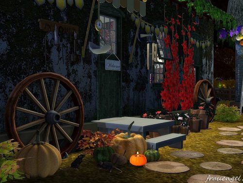 Fortune Tellers Wagon