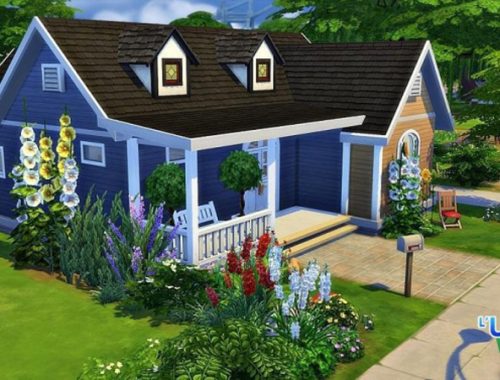 Georgina starter house