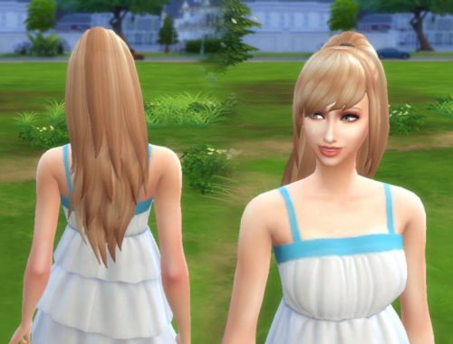 Fashion Ponytail