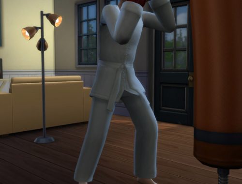 Sim Fu Uniform (TS3 WA)
